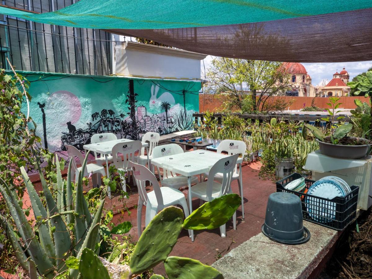 Hostal Luz De Luna Nuyoo Oaxaca Buitenkant foto