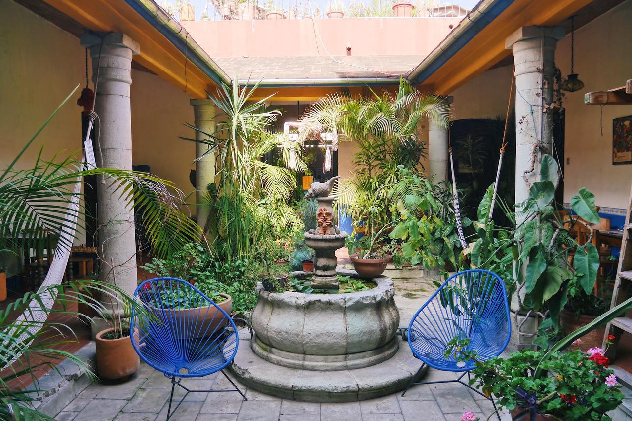 Hostal Luz De Luna Nuyoo Oaxaca Buitenkant foto